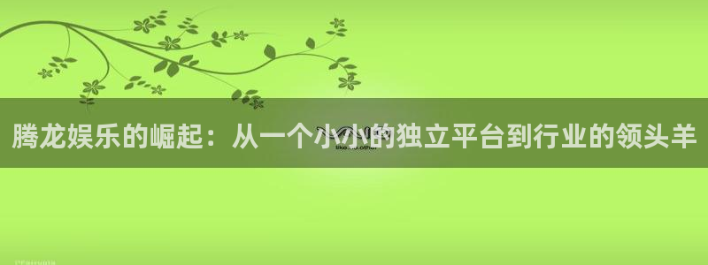 恩佐娱乐：腾龙娱乐的崛起：从一个小小的独立平台到行业的领头羊
