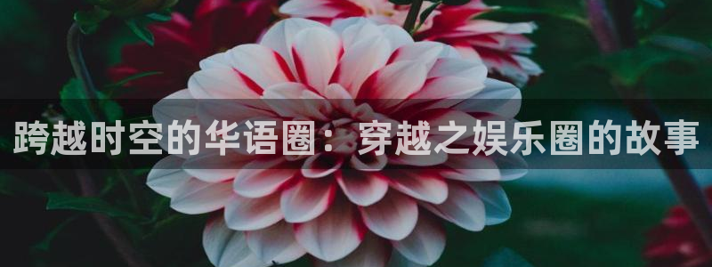 恩佐娱乐：跨越时空的华语圈：穿越之娱乐圈的故事