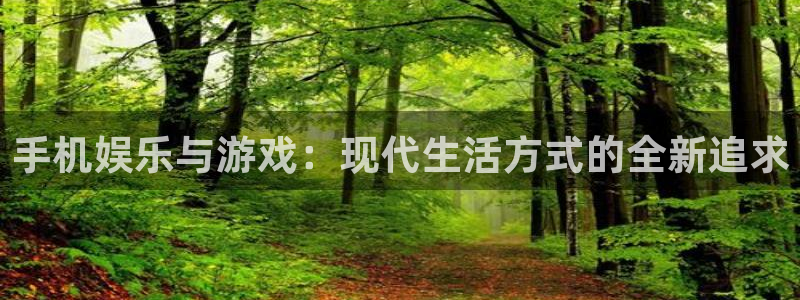 恩佐娱乐：手机娱乐与游戏：现代生活方式的全新追求