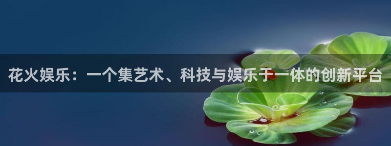 恩佐娱乐：花火娱乐：一个集艺术、科技与娱乐于一体的创新平台