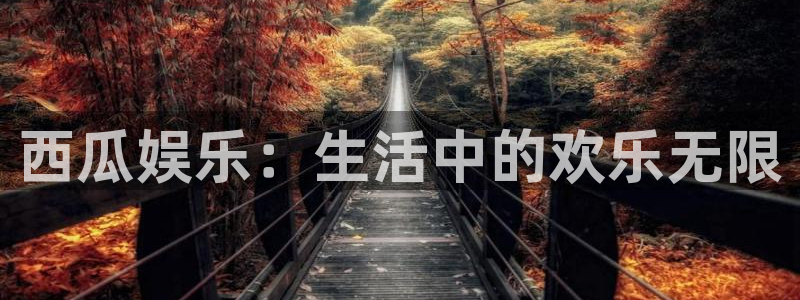 恩佐娱乐：西瓜娱乐：生活中的欢乐无限