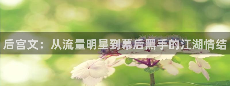 恩佐娱乐：后宫文：从流量明星到幕后黑手的江湖情结